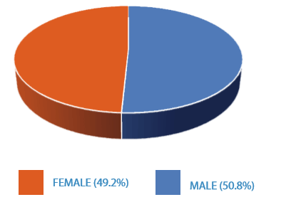 Pie chart showing the relative split between male and female survey respondents - Male: 50.8%, Female: 49.2%