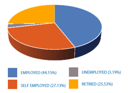 Pie chart showing the relative split between the employment status of survey respondents:  Employed: 44.15%, Self Employed: 27.13%, Unemployed: 3.19%, Retired: 25.53%
